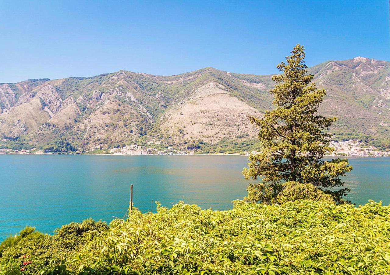 Villa Donkovic Котор Екстер'єр фото