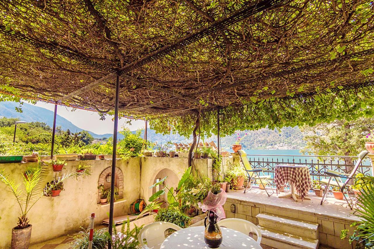 Villa Donkovic Котор Екстер'єр фото